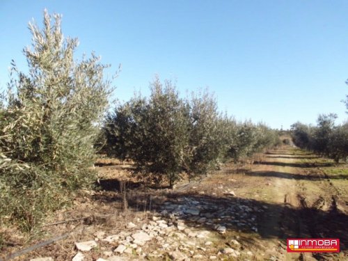 FINCA EN VENTA EN GUAREÑA, BADAJOZ