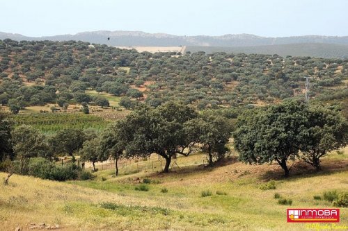 FINCA NUEVO EN VENTA EN DON BENITO (RUSTICA)