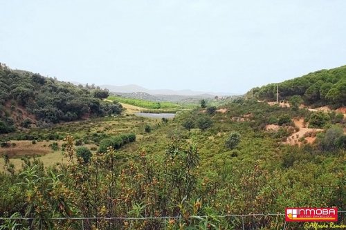 FINCA NUEVO EN VENTA EN DON BENITO (RUSTICA)