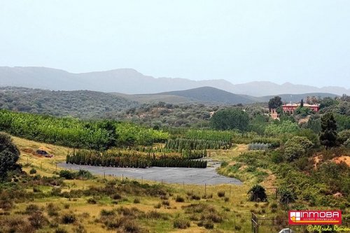 FINCA NUEVO EN VENTA EN DON BENITO (RUSTICA)