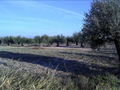 APARTAMENTO NUEVO EN VENTA EN DON BENITO (RUSTICA)