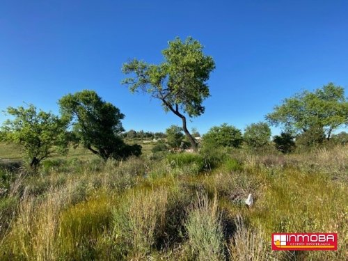 FINCA NUEVO EN VENTA EN MÉRIDA (RUSTICA)