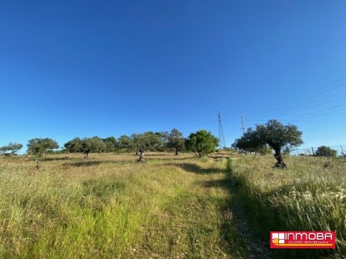 FINCA NUEVO EN VENTA EN MÉRIDA (RUSTICA)