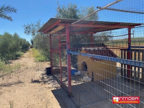 CHALET NUEVO EN VENTA EN GUAREÑA (RUSTICA)
