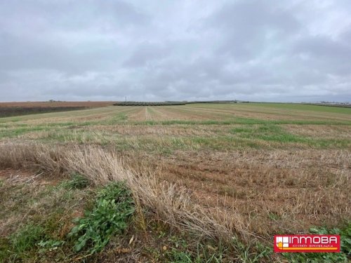 FINCA EN VENTA EN GUAREÑA, BADAJOZ