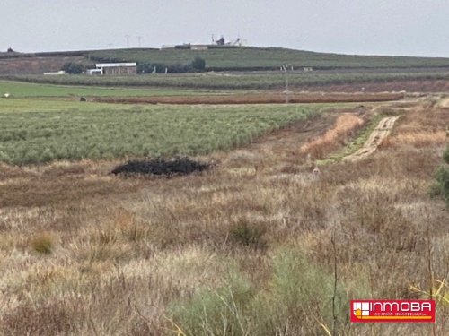  BRAND NEW PLOT/SOLAR FOR SALE IN GUAREÑA (RUSTICA)