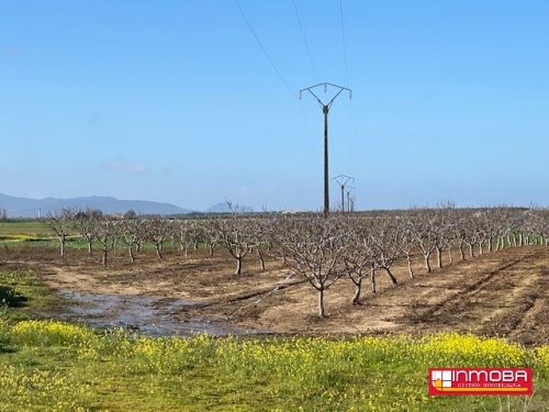 FINCA EN VENTA EN VALDETORRES, BADAJOZ