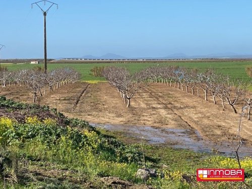  BRAND NEWESTATE FOR SALE IN VALDETORRES (RUSTICA)
