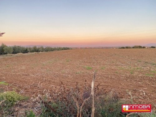 FINCA NUEVO EN VENTA EN VALDETORRES (RUSTICA)