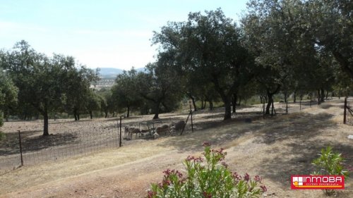 CHALET NUEVO EN VENTA EN GUAREÑA (RUSTICA)