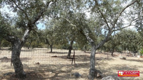 CHALET NUEVO EN VENTA EN GUAREÑA (RUSTICA)