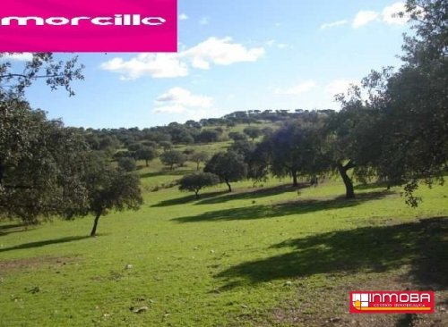 FINCA NUEVO EN VENTA EN GUAREÑA (RUSTICA)