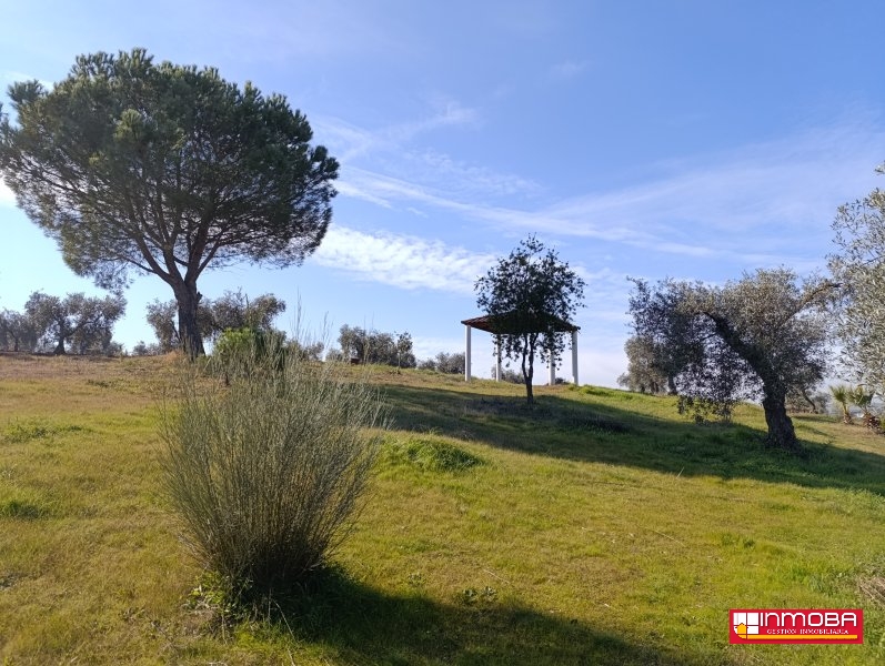 FINCA NUEVO EN VENTA EN VALDETORRES (RUSTICA)