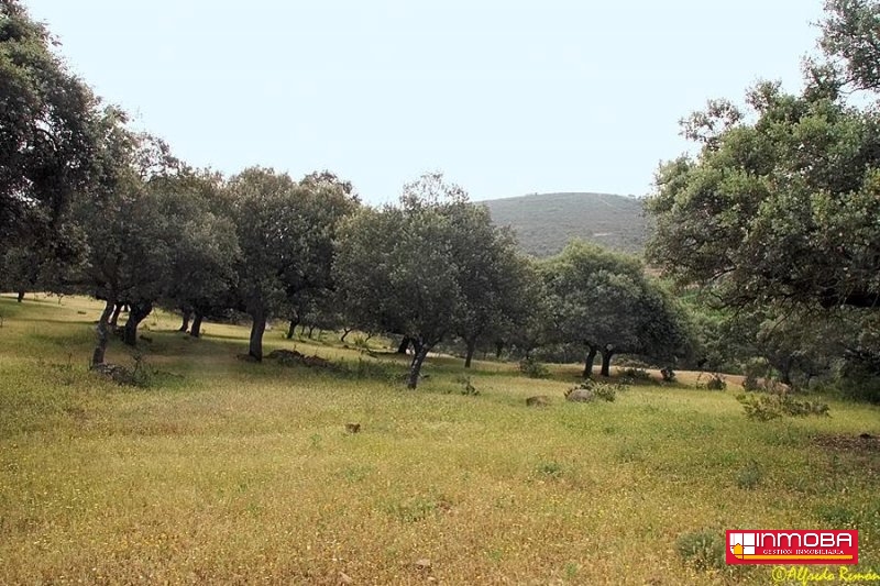 FINCA NUEVO EN VENTA EN DON BENITO (RUSTICA)