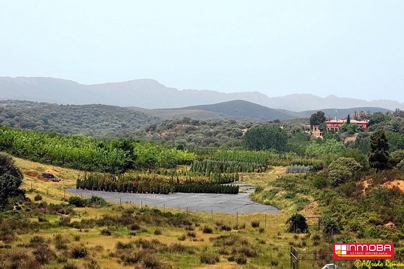 FINCA NUEVO EN VENTA EN DON BENITO (RUSTICA)