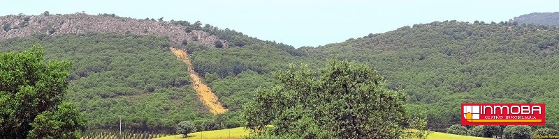 FINCA NUEVO EN VENTA EN DON BENITO (RUSTICA)