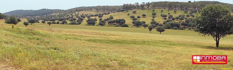 FINCA NUEVO EN VENTA EN DON BENITO (RUSTICA)