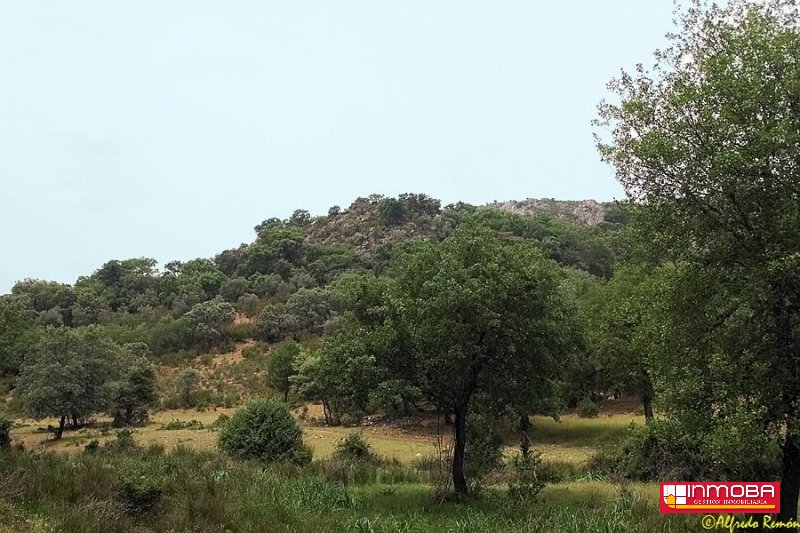 FINCA NUEVO EN VENTA EN DON BENITO (RUSTICA)