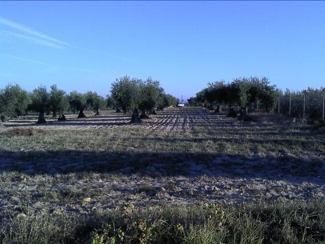 APARTAMENTO NUEVO EN VENTA EN DON BENITO (RUSTICA)