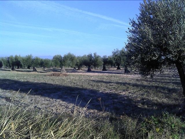 APARTAMENTO NUEVO EN VENTA EN DON BENITO (RUSTICA)
