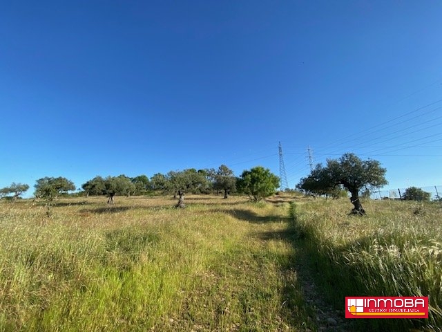 FINCA NUEVO EN VENTA EN MÉRIDA (RUSTICA)