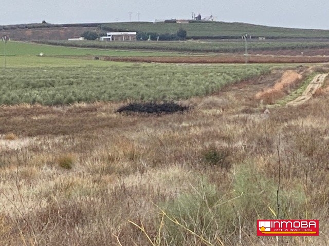  BRAND NEW PLOT/SOLAR FOR SALE IN GUAREÑA (RUSTICA)