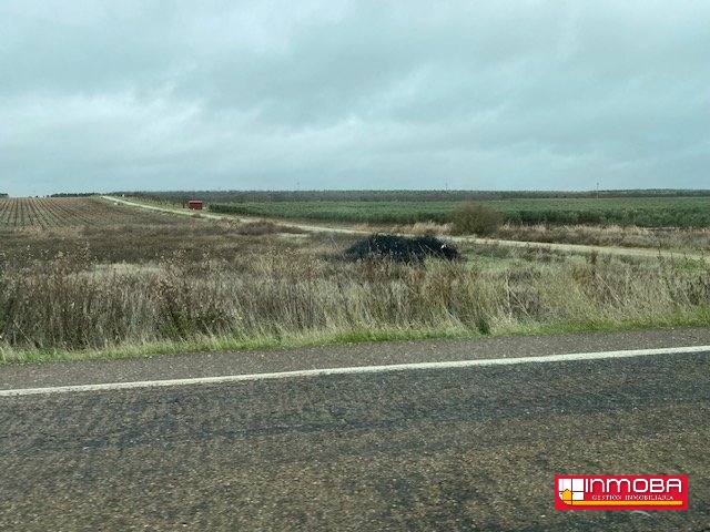  BRAND NEW PLOT/SOLAR FOR SALE IN GUAREÑA (RUSTICA)