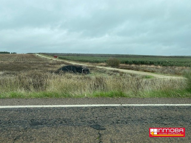  BRAND NEW PLOT/SOLAR FOR SALE IN GUAREÑA (RUSTICA)