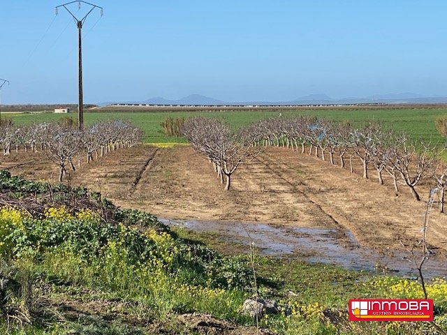  BRAND NEWESTATE FOR SALE IN VALDETORRES (RUSTICA)