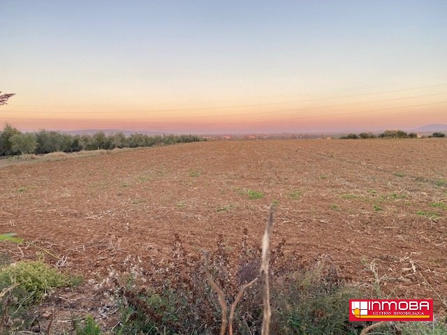 FINCA NUEVO EN VENTA EN VALDETORRES (RUSTICA)