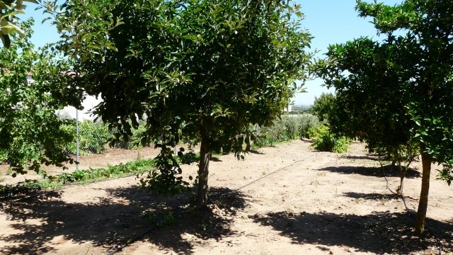 NAVE NUEVO EN VENTA EN GUAREÑA (RUSTICA)