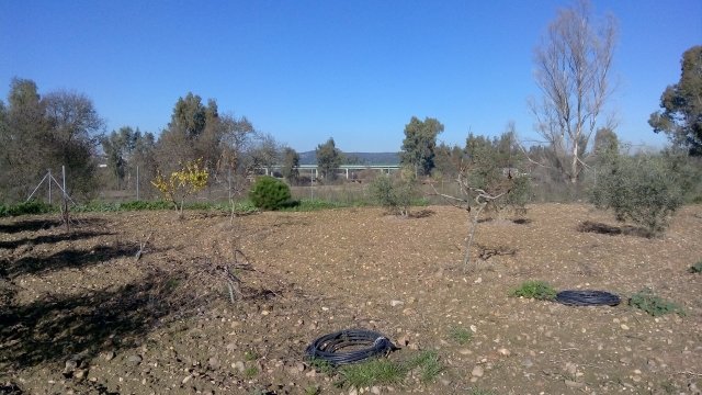 CHALET NUEVO EN VENTA EN VILLAGONZALO (RUSTICA)