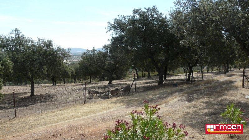 CHALET NUEVO EN VENTA EN GUAREÑA (RUSTICA)
