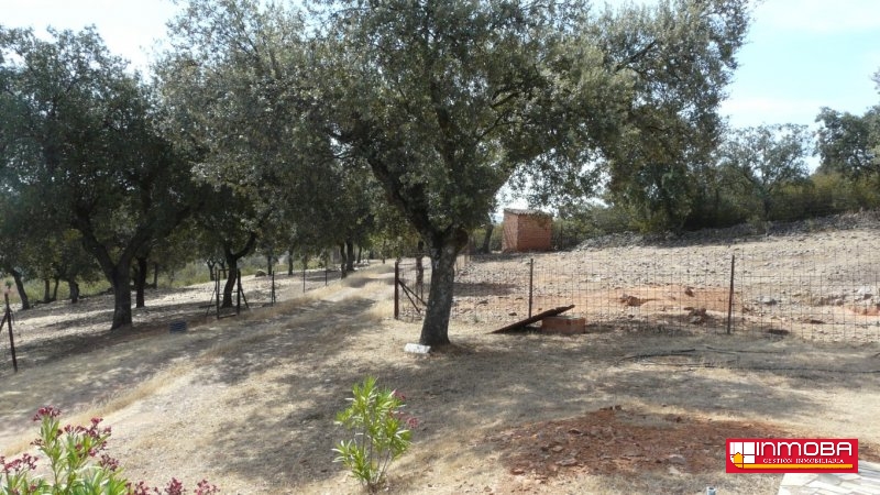 CHALET NUEVO EN VENTA EN GUAREÑA (RUSTICA)