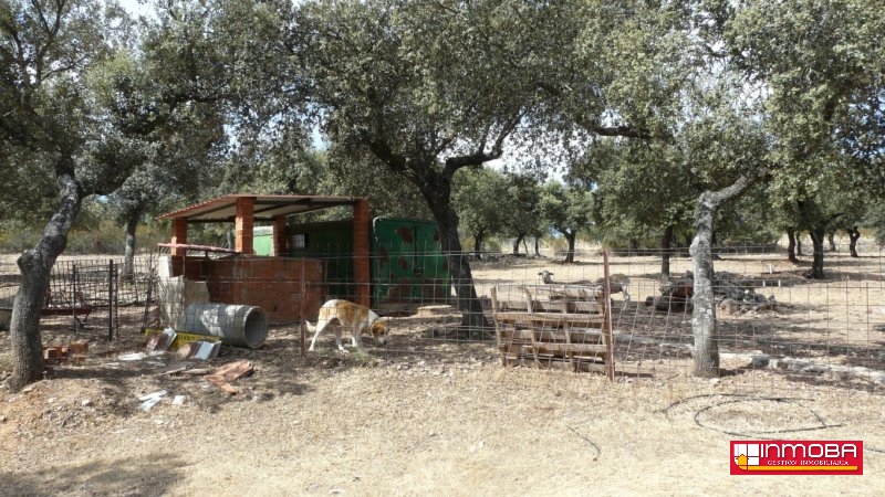 CHALET NUEVO EN VENTA EN GUAREÑA (RUSTICA)